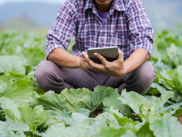 Stockfoto zum Innotalk - Mann mit Ipad auf Feld