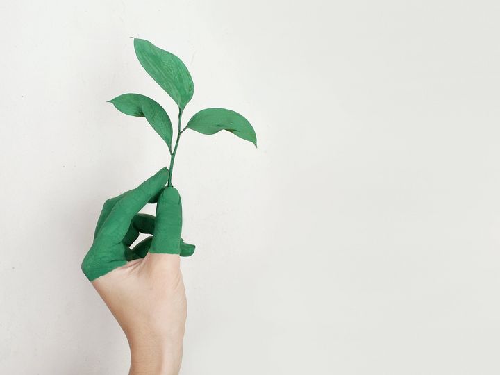 Gr&uuml;ne Hand mit Pflanze