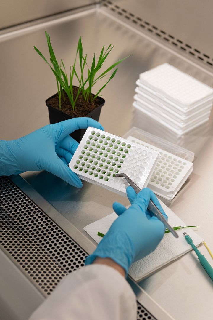 Immunbooster für Nutzpflanzen | AgPrime GmbH