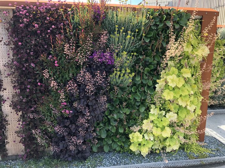 Einzigartiges Begrünungssystem | Biolit Green Systems GmbH